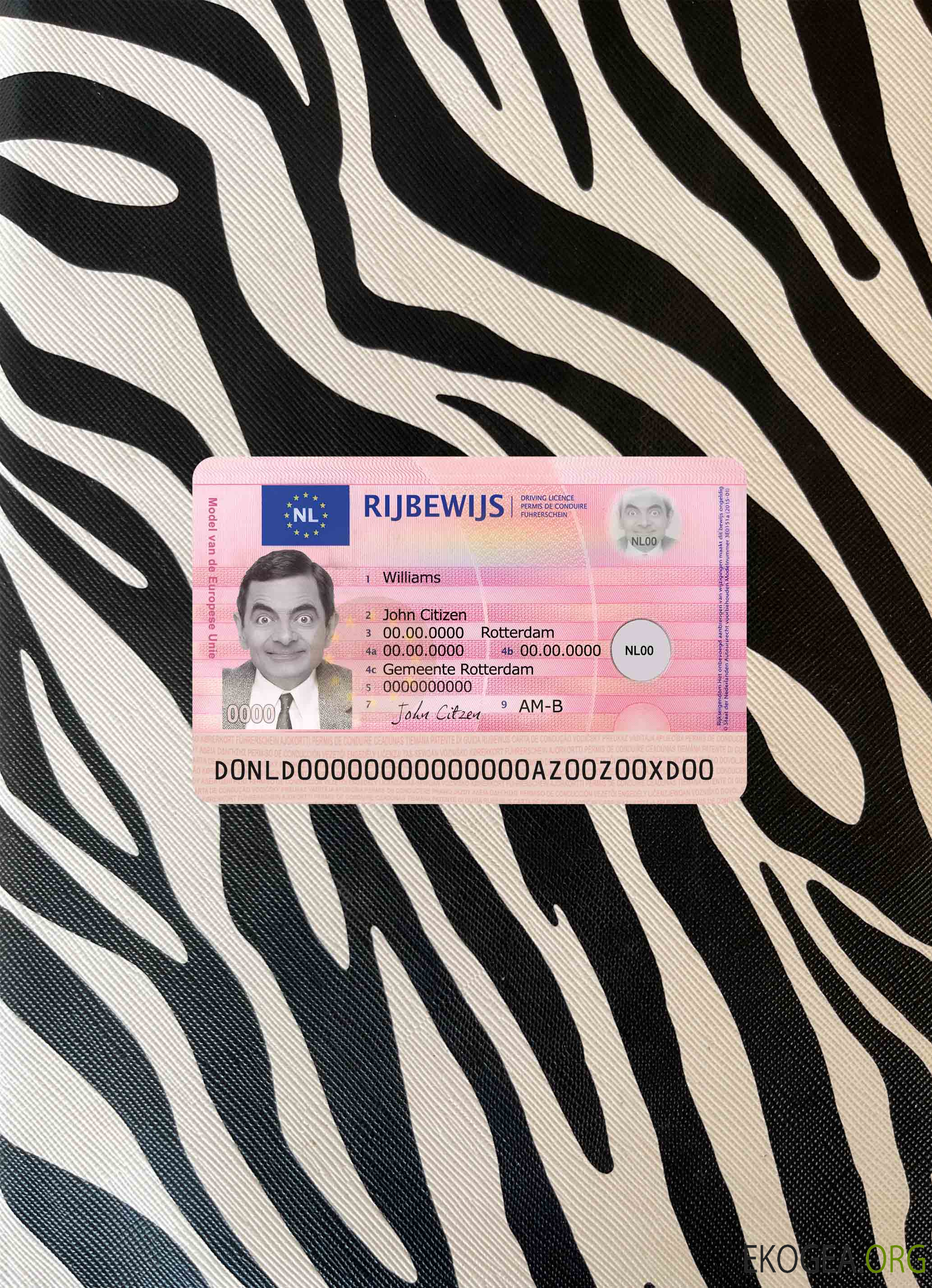 Pays Bas nouveau permis de conduire photolook AVANT